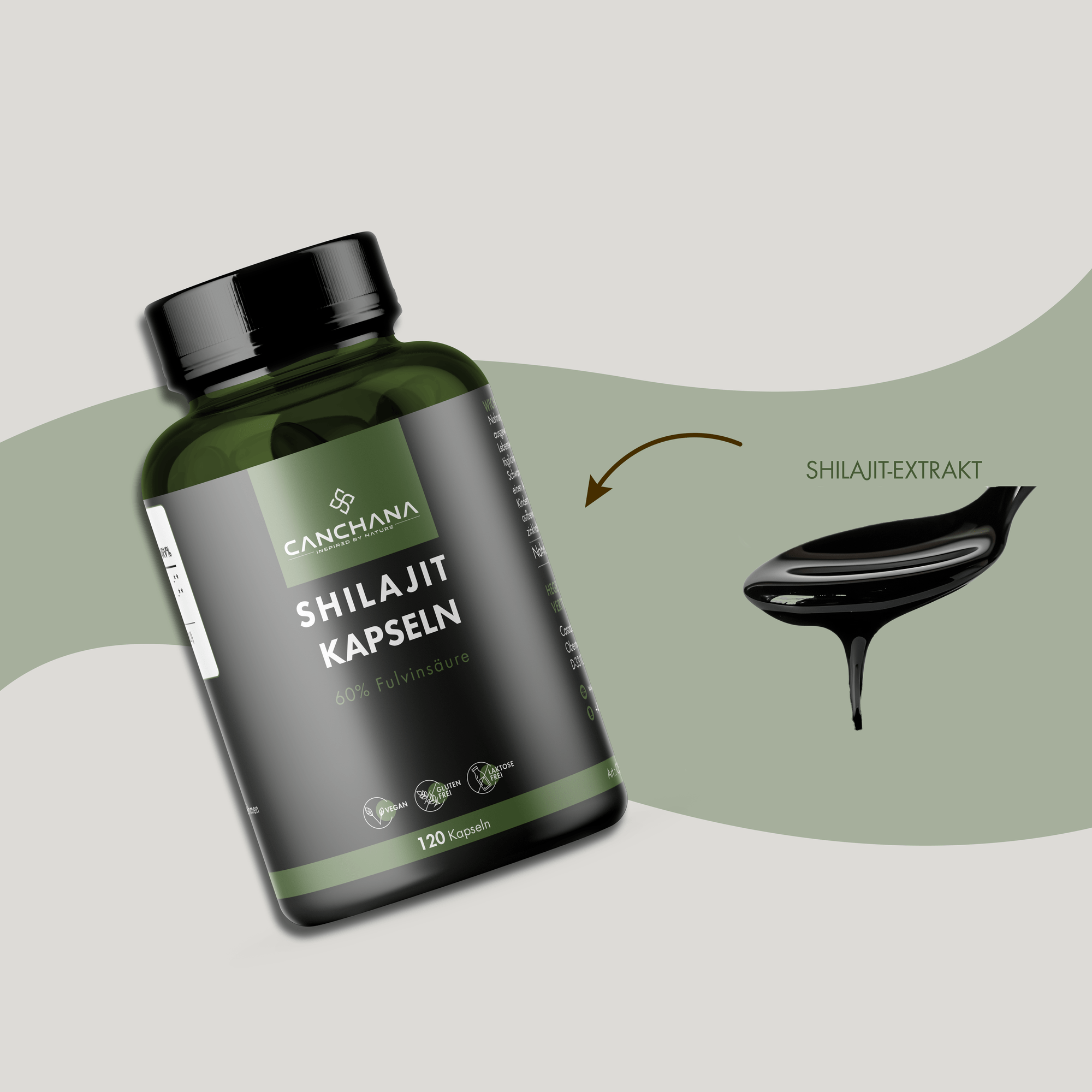 Shilajit Kapseln