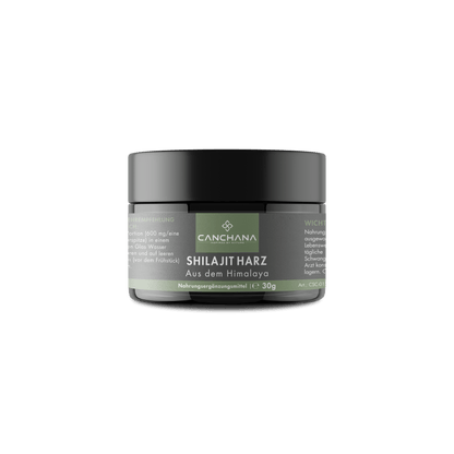 Shilajit resin